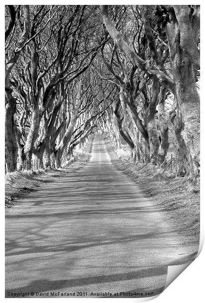 A long and lonely road Print by David McFarland
