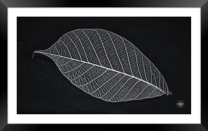 Leaf Skeleton Framed Mounted Print by andrew blakey