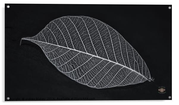 Leaf Skeleton Acrylic by andrew blakey