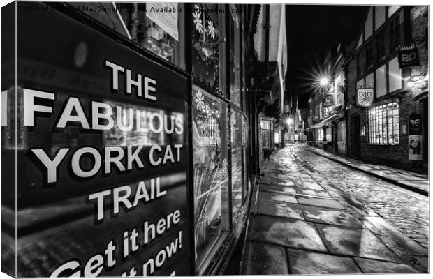 The Shambles, York : 07 of 07 Images (B&W) Canvas Print by Phil MacDonald