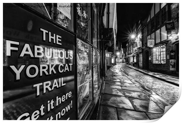 The Shambles, York : 07 of 07 Images (B&W) Print by Phil MacDonald