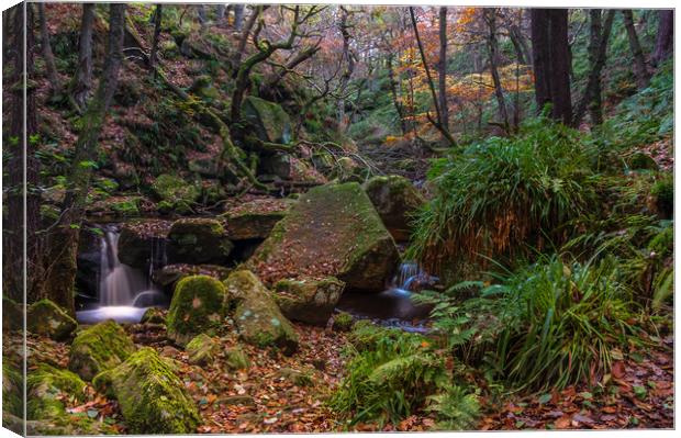 Autumn in Padley Gorge   Canvas Print by Paul Andrews
