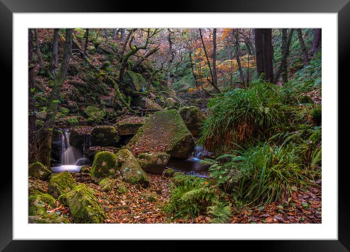 Autumn in Padley Gorge   Framed Mounted Print by Paul Andrews