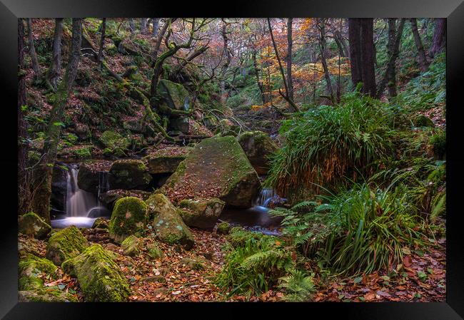 Autumn in Padley Gorge   Framed Print by Paul Andrews