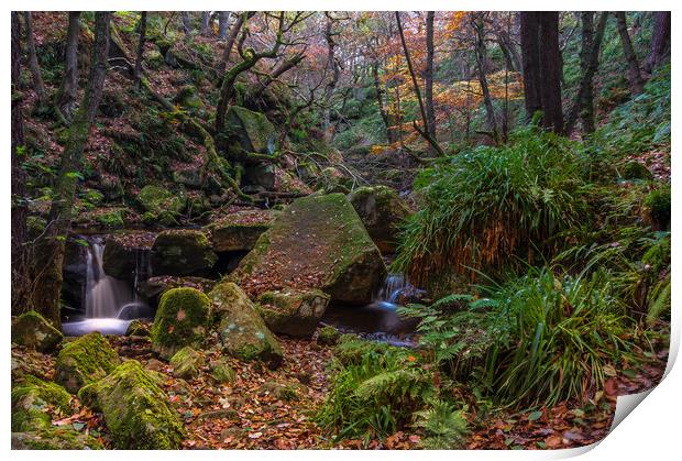 Autumn in Padley Gorge   Print by Paul Andrews