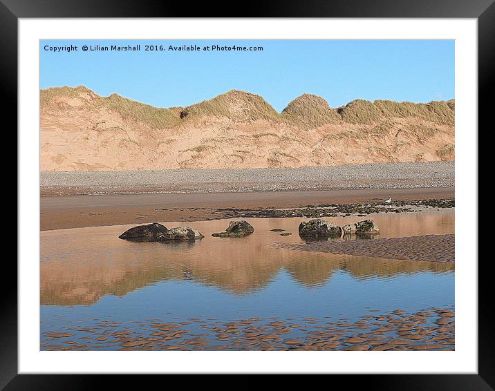 Sandhills at Newborough Beach. Framed Mounted Print by Lilian Marshall