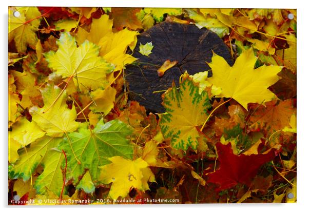 Overhead view on fallen autumn leaves of maple Acrylic by Vladislav Romensky