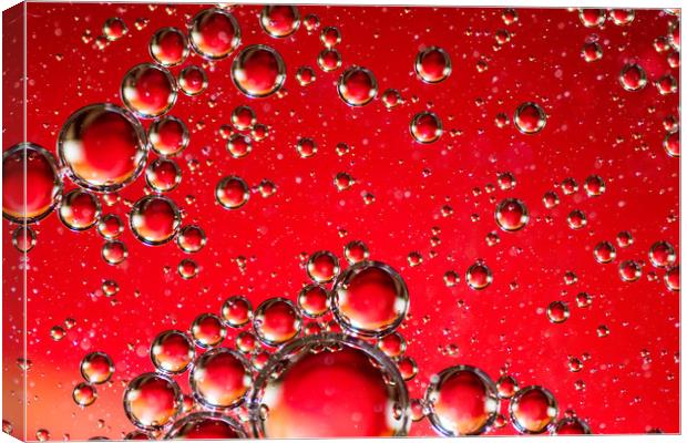 Oil on Water Red and Silver Bubble Abstract Canvas Print by John Williams