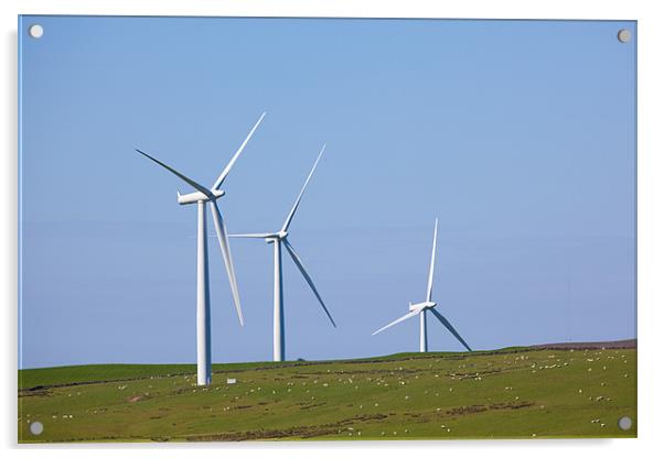 Hadyard wind farm, near Girvan, Ayrshire Acrylic by Douglas Kerr