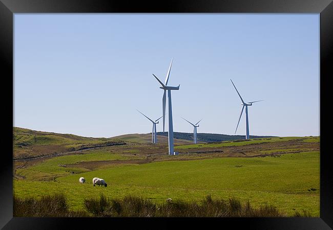 Hadyard wind farm, near Girvan, Ayrshire Framed Print by Douglas Kerr