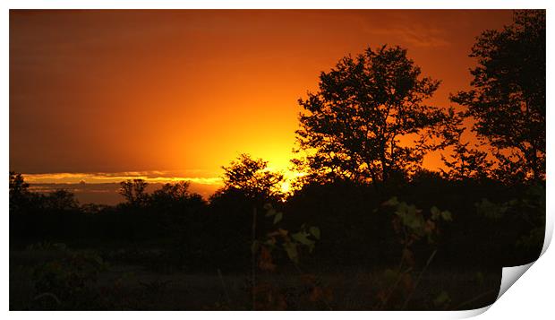 Malawi Sunset Print by Beth Powell