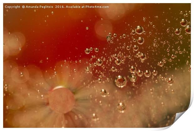 Bubbles Print by Amanda Peglitsis