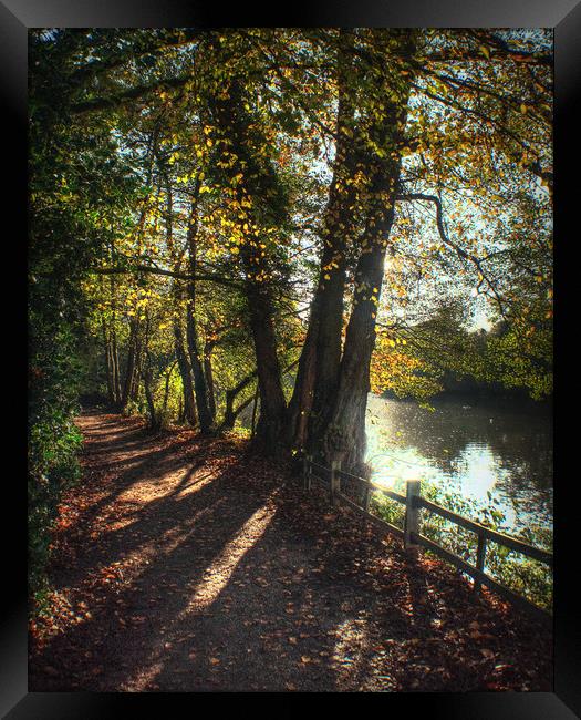 Autumn Pathway along the Lake Framed Print by Jon Fixter