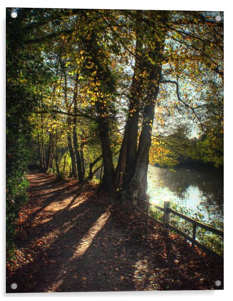 Autumn Pathway along the Lake Acrylic by Jon Fixter