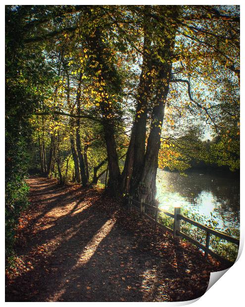 Autumn Pathway along the Lake Print by Jon Fixter
