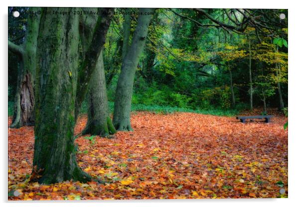 autumn woods Acrylic by Derrick Fox Lomax