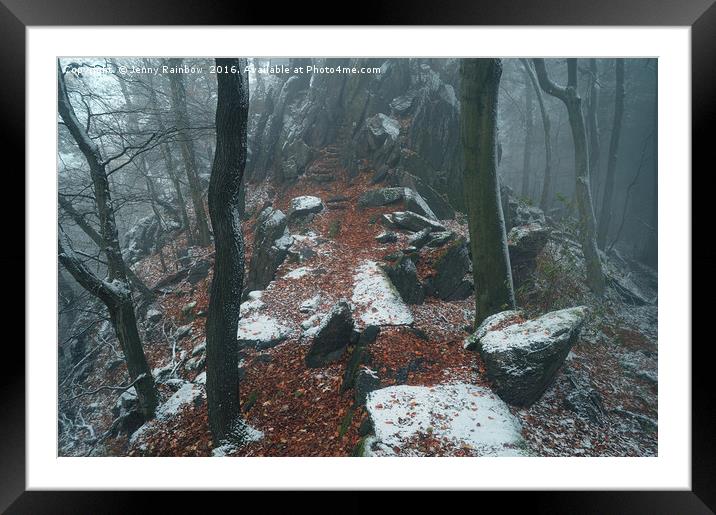 Rocky Path.  In Mysterious Woods                   Framed Mounted Print by Jenny Rainbow