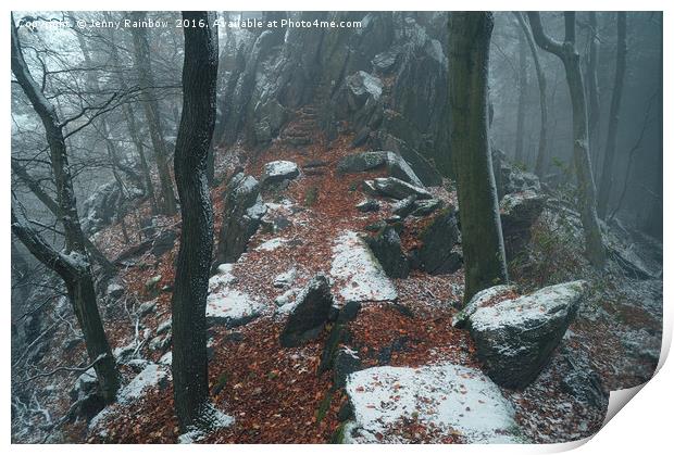 Rocky Path.  In Mysterious Woods                   Print by Jenny Rainbow