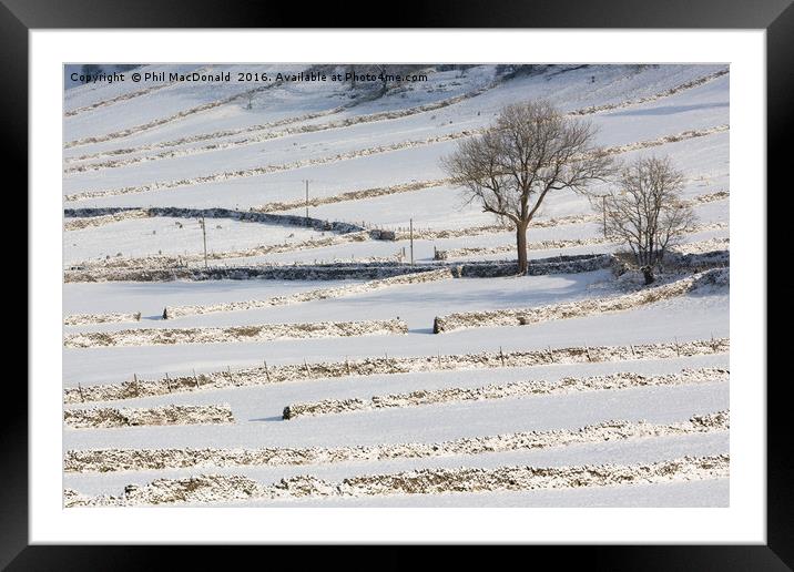 Snow and Stone Walls, Yorkshire Dales Framed Mounted Print by Phil MacDonald