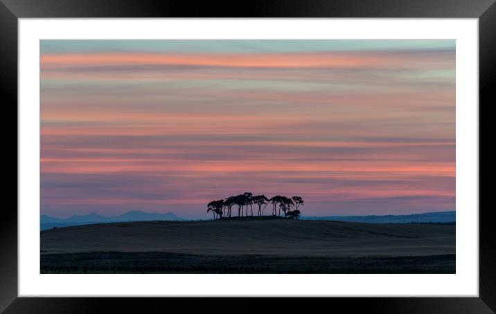 Gollanfield Copse Sunset Framed Mounted Print by Scott K Marshall