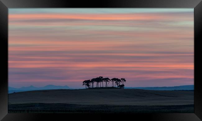 Gollanfield Copse Sunset Framed Print by Scott K Marshall