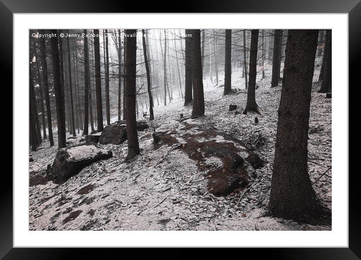 Dark Woods. Series In Mysterious Woods             Framed Mounted Print by Jenny Rainbow