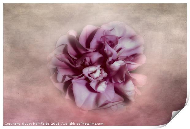 Softly Pink Print by Judy Hall-Folde