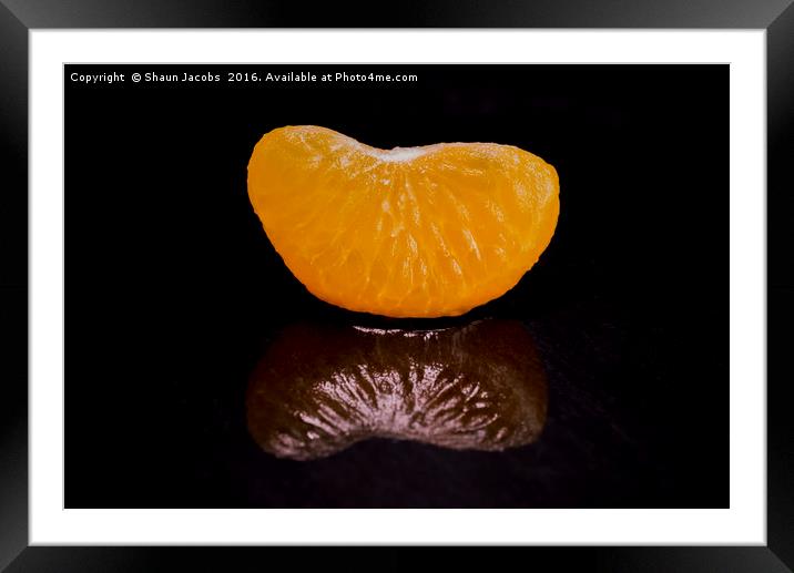 Orange reflected  Framed Mounted Print by Shaun Jacobs