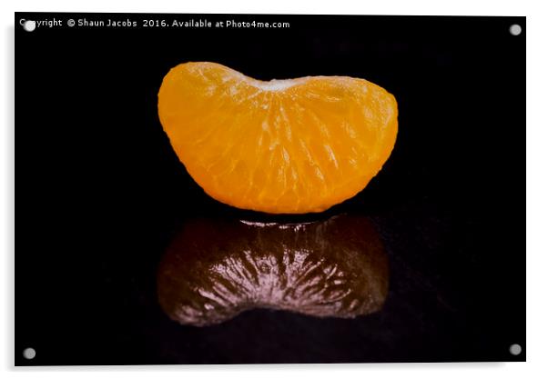 Orange reflected  Acrylic by Shaun Jacobs