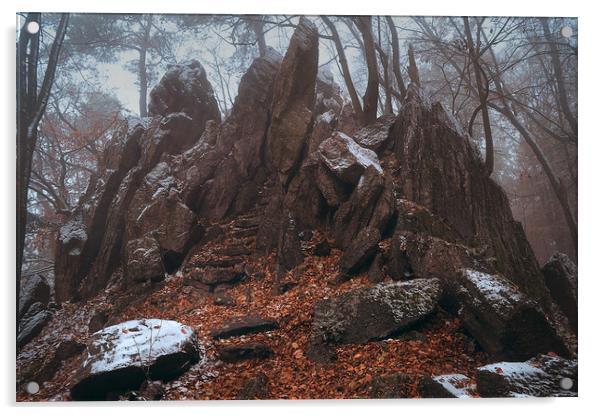 Kingdom of the Rocks. In Mysterious Woods          Acrylic by Jenny Rainbow