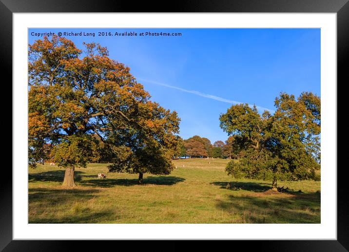 Tranquil Autumn view Framed Mounted Print by Richard Long