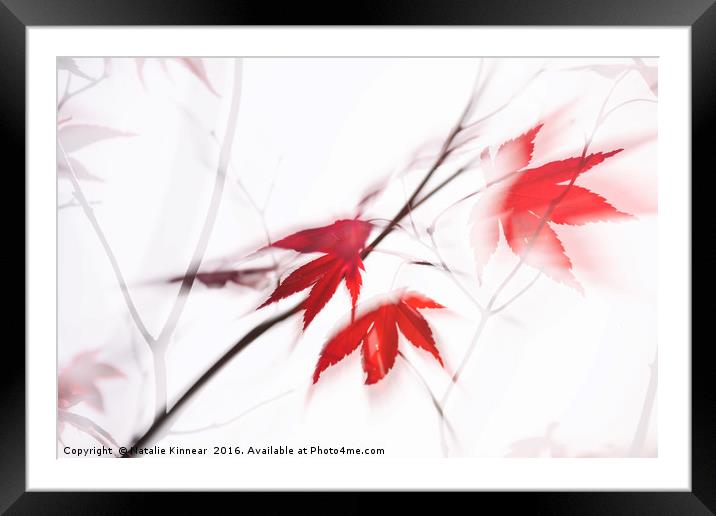 Red Maple Leaves Abstract 1 Framed Mounted Print by Natalie Kinnear