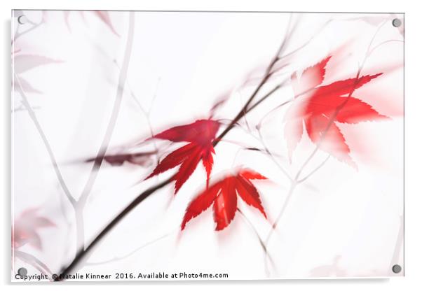 Red Maple Leaves Abstract 1 Acrylic by Natalie Kinnear