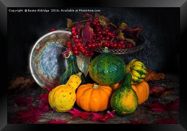 Autumn vegetables Framed Print by Beata Aldridge