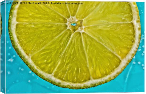 Lime Fizz Canvas Print by Phil MacDonald