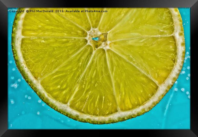 Lime Fizz Framed Print by Phil MacDonald