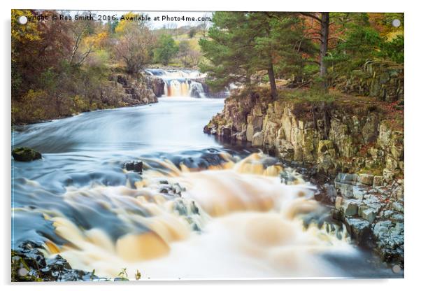 The River Tees at Low Force waterfall Acrylic by Rob Smith