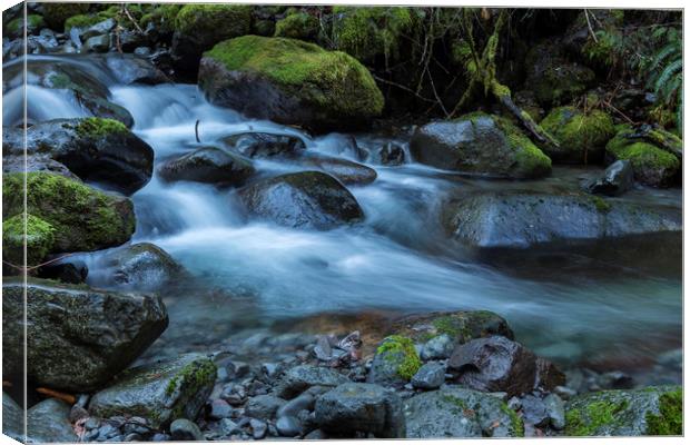 Water, Moss and Rocks Canvas Print by Belinda Greb