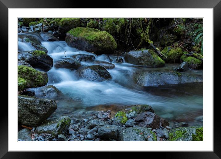 Water, Moss and Rocks Framed Mounted Print by Belinda Greb