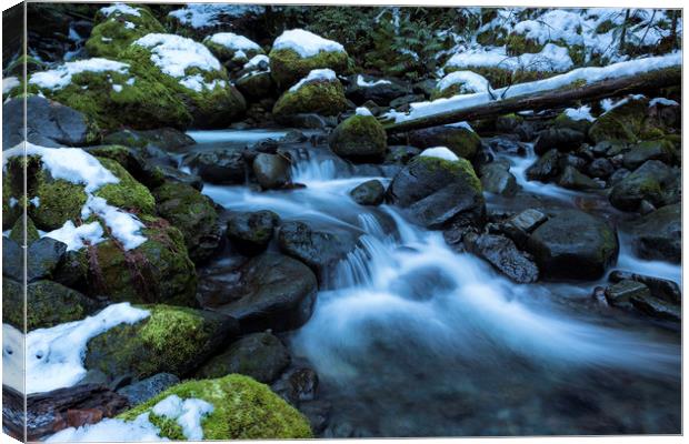 Snow, Moss, Water Over Rocks Canvas Print by Belinda Greb