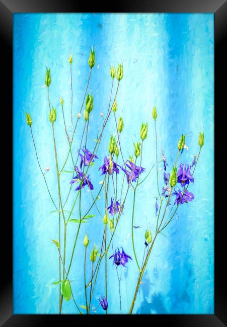 Dark Blue Delphinium Soft Oil Style Framed Print by John Williams