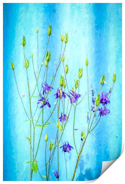 Dark Blue Delphinium Soft Oil Style Print by John Williams