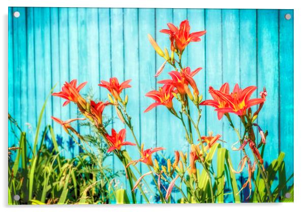 Tiger Lilly and Rustic Blue Wood Acrylic by John Williams