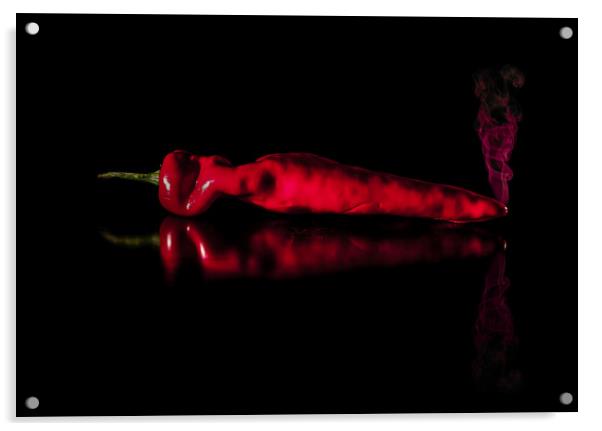 Red Hot Chilli Acrylic by Nigel Jones