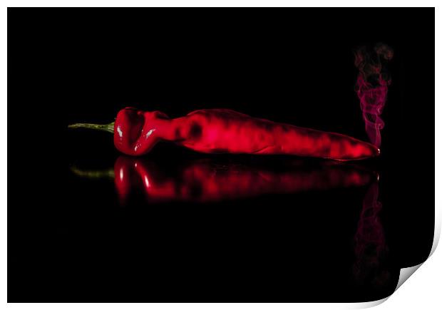 Red Hot Chilli Print by Nigel Jones