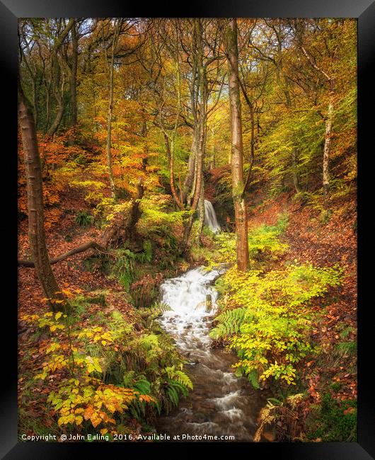 Autumn Fall 2 Framed Print by John Ealing