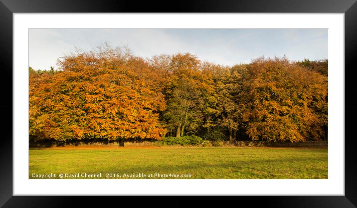 Gateway To Autumn  Framed Mounted Print by David Chennell