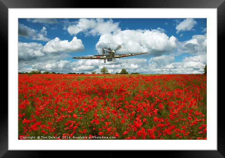 Hurricane over a field of poppies. Framed Mounted Print by Tom Dolezal
