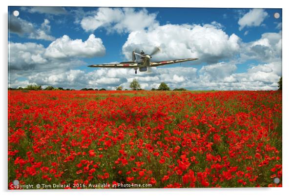Hurricane over a field of poppies. Acrylic by Tom Dolezal