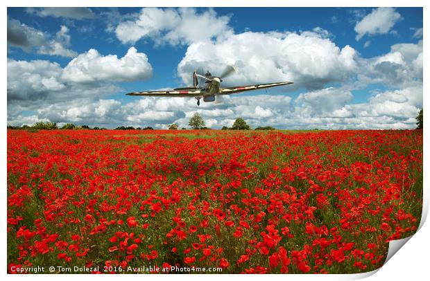 Hurricane over a field of poppies. Print by Tom Dolezal